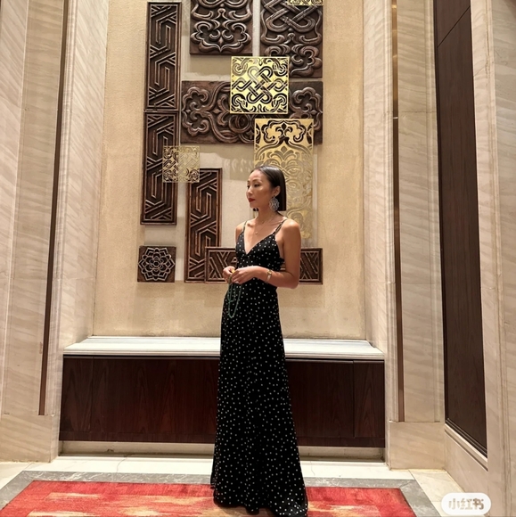 NWT Zara Flowy Polka Dot Maxi Dress - 2180/224 - Picture 6 of 14